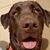 Robert Dammeir's profile image