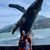 Mark Mckinney's profile image