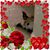 Shannon Staats's profile image