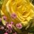 Nancy Rivera's profile image
