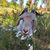 Kit Jagoda's profile image