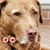 Doris Groves's profile image