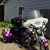 Stacey Van Iperen Harris's profile image