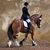 Deb Stephenson's profile image