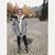 Rachel Hernes's profile image