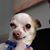 Dylan Johnston's profile image