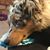 Debbie DeVitis DiMascio's profile image