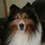 Brenda Fuller's profile image