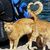 Martine Donlevy's profile image