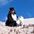 Gretchen Joy's profile image