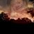 Maria Esquivel's profile image