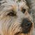 Cindi Kotzalas's profile image