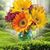 Gwenda Alexander's profile image