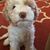 Joy Sandberg's profile image
