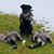 Leda Joy Blom's profile image