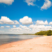 R P.'s profile image