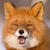 Tanya TiHart's profile image