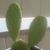 Israel Lopez's profile image
