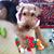 Cindy Balduzzi's profile image