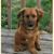 Kay Rinehart's profile image