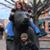 Roger Lashbrook's profile image