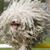 Victoria Sullivan's profile image