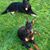 Sue Spinale-Cranney's profile image