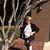 Shirley Ann Allen's profile image