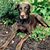 Bill Blickensderfer's profile image