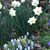 Terri Craft Russell's profile image