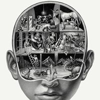 Chris McDowell's profile image