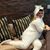 Carina F Clemens's profile image