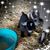 Terri Rutherford's profile image