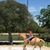 Anika Jewel Schuenemann's profile image