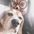 Molly Elizabeth Hodes's profile image