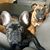 Bonnie Weiner Higgins's profile image
