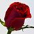 Margie Kye's profile image