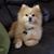 Jacquelyn Pulse-Clausen's profile image