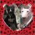 Anne Catherine Hooton's profile image