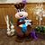 Denise Marshall's profile image