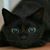 Rachel Robertson's profile image