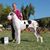 Carrie Michaelson's profile image