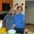 Sue Harman's profile image