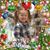 Michelle Peters's profile image