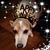 Donna Metivier-Troublefield's profile image