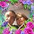 Graciela Jove's profile image