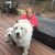 Mary Stutleen's profile image