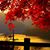 Anitarahel Rahel's profile image