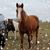 Melissa Rader's profile image