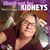 Lisa Bailey's profile image